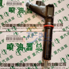 Originale Sinotruk Howo A7 camion resistente D12 motore pezzi di ricambio iniettore VG1246080036 gruppo iniettore di carburante