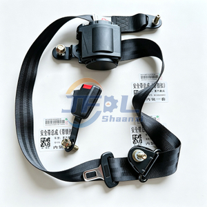 SINOTRUK HOWO A7 T7H T5G TX T7 SITRAK C7H C5H LKW-Ersatzteile Sicherheitsgurt-Baugruppe vorne links WG1664560050 